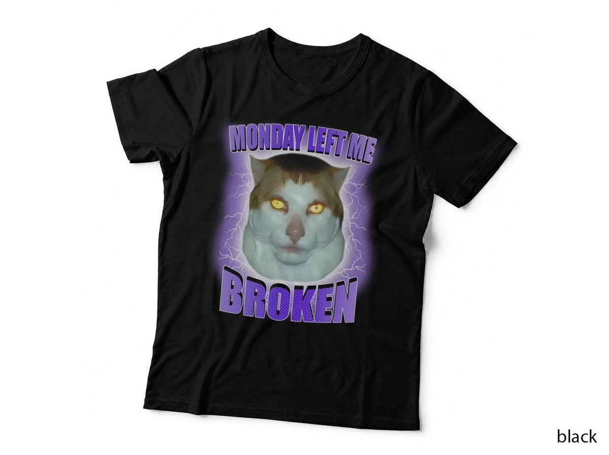 Monday Left Me Broken Cat Meme T-Shirt, Funny Sarcasm, Pet Lover Apparel