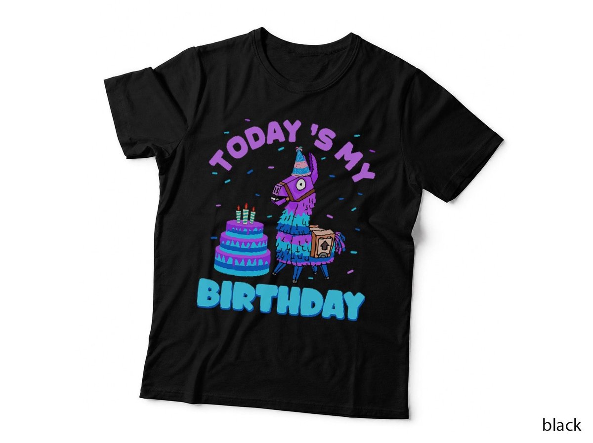 Todays My Birthday Llama Birthday Party Decorations Boys T-Shirt