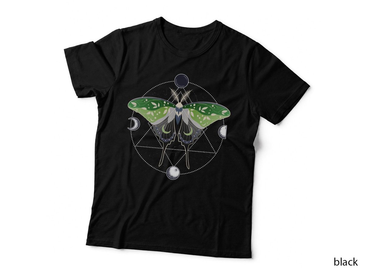 Luna Moth Celestial Cottagecore T-Shirt, LGBT Pride Flag, Aromantic Pride