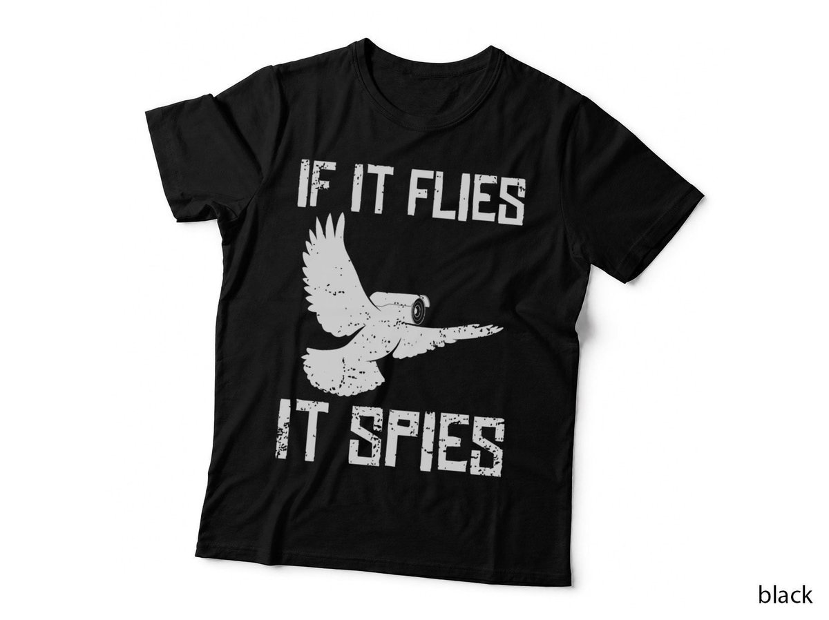 If It Flies It Spies Conspiracy Theory Birds Aren’t Real print T-Shirt