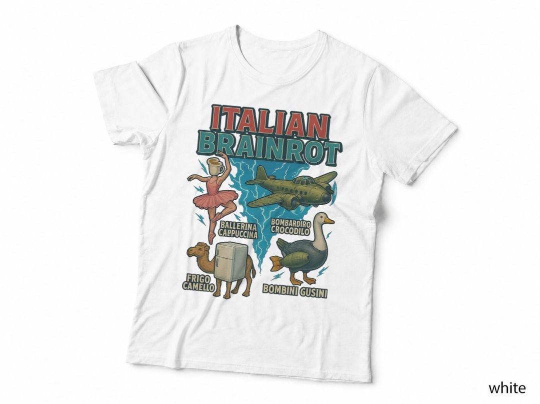 Brainrot Quartet Bombardiro Ballerina Frigo Bombini T-Shirt, Meme Gifts
