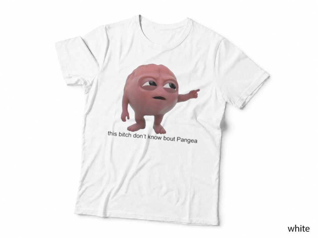 this bitch don't know bout pangea T-Shirt