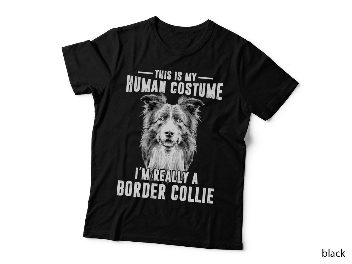 Border Collie Dog This Is My Human Costume Dog Shirt, Rustic Charm, Gift T-Shirt