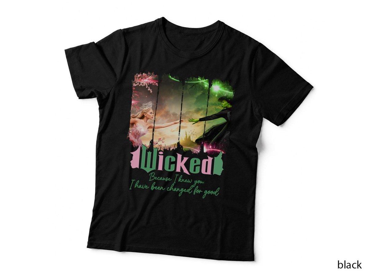 Because I Knew You I Have Been Changed For Good, Popular T-Shirt
