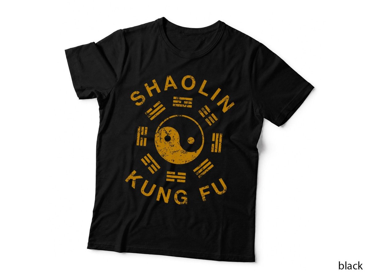 Shaolin Kung Fu Martial Arts Training T-Shirt