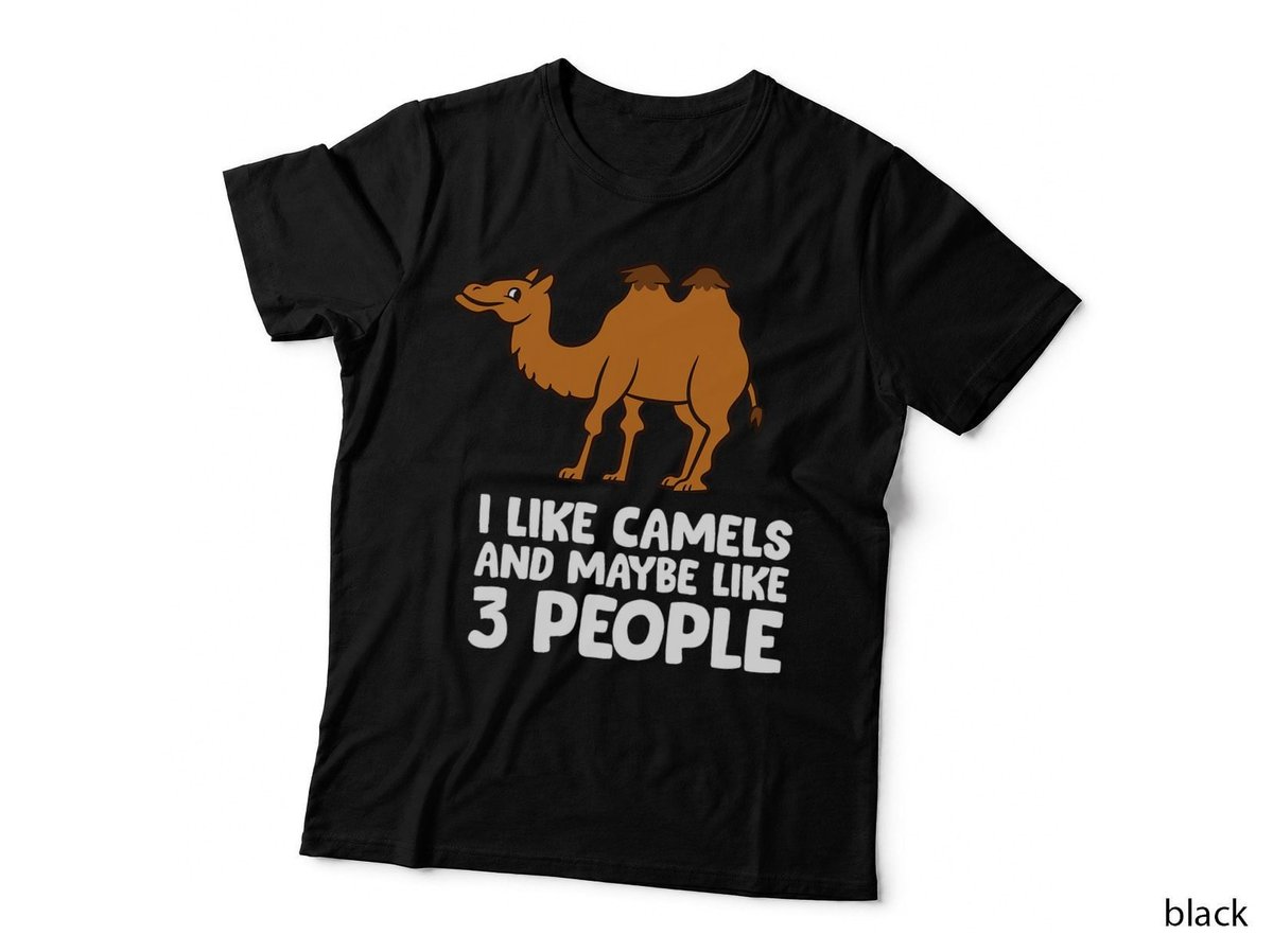 Camel Lover I Like Camels And Maybe Like 3 People T-Shirt Copy