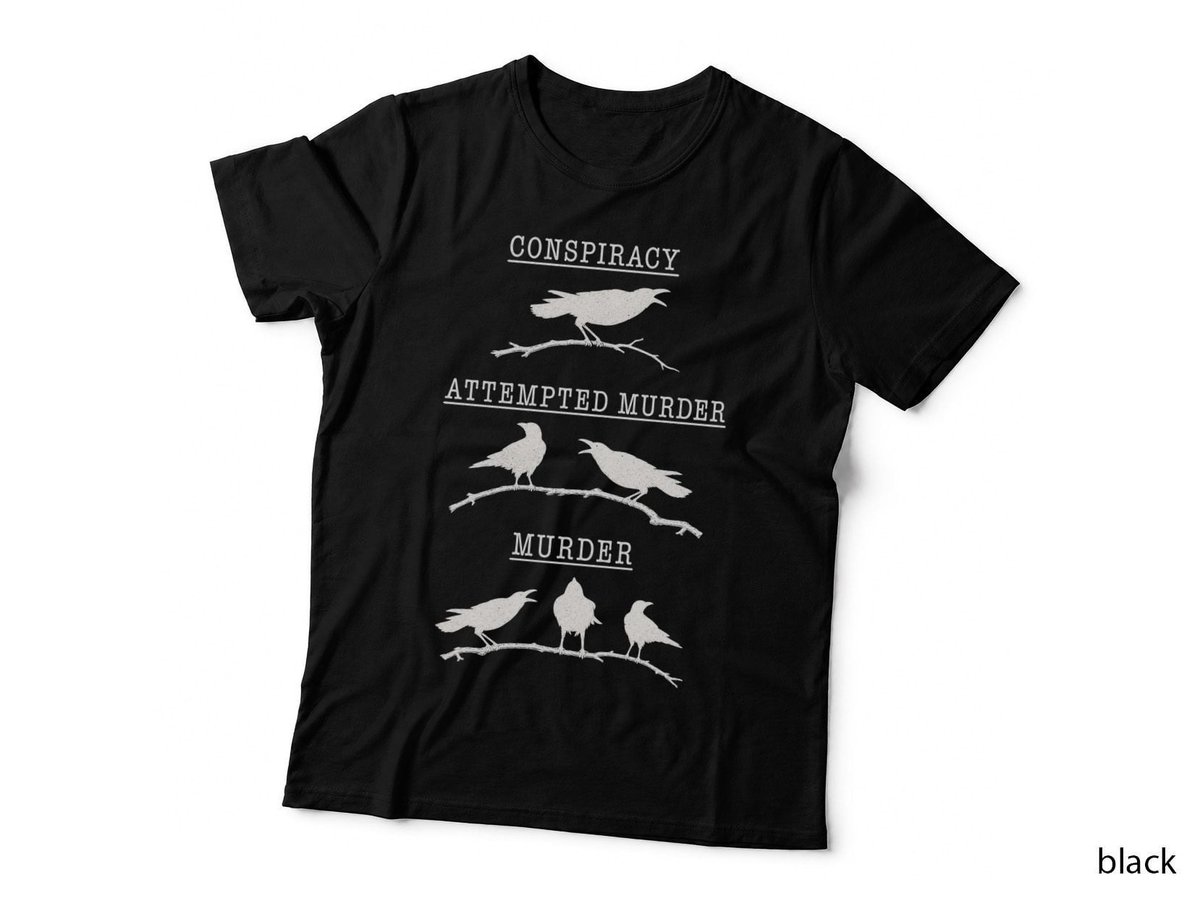 Conspiracy Attempted Murder Of Crows Funny Raven Bird Nerd T-Shirt Hoodie Goth