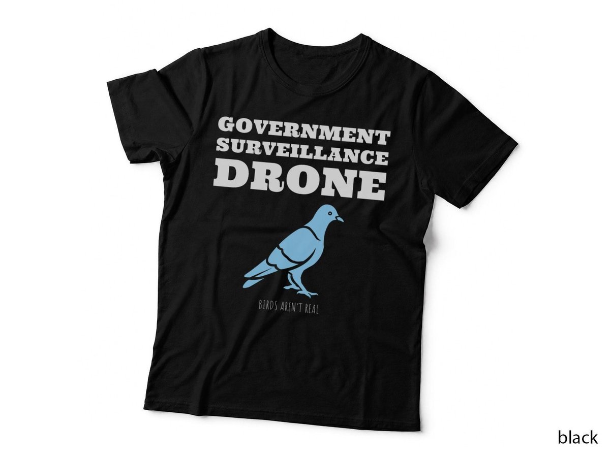 Birds Aren't Real Government Surveillance Drone T T-Shirt