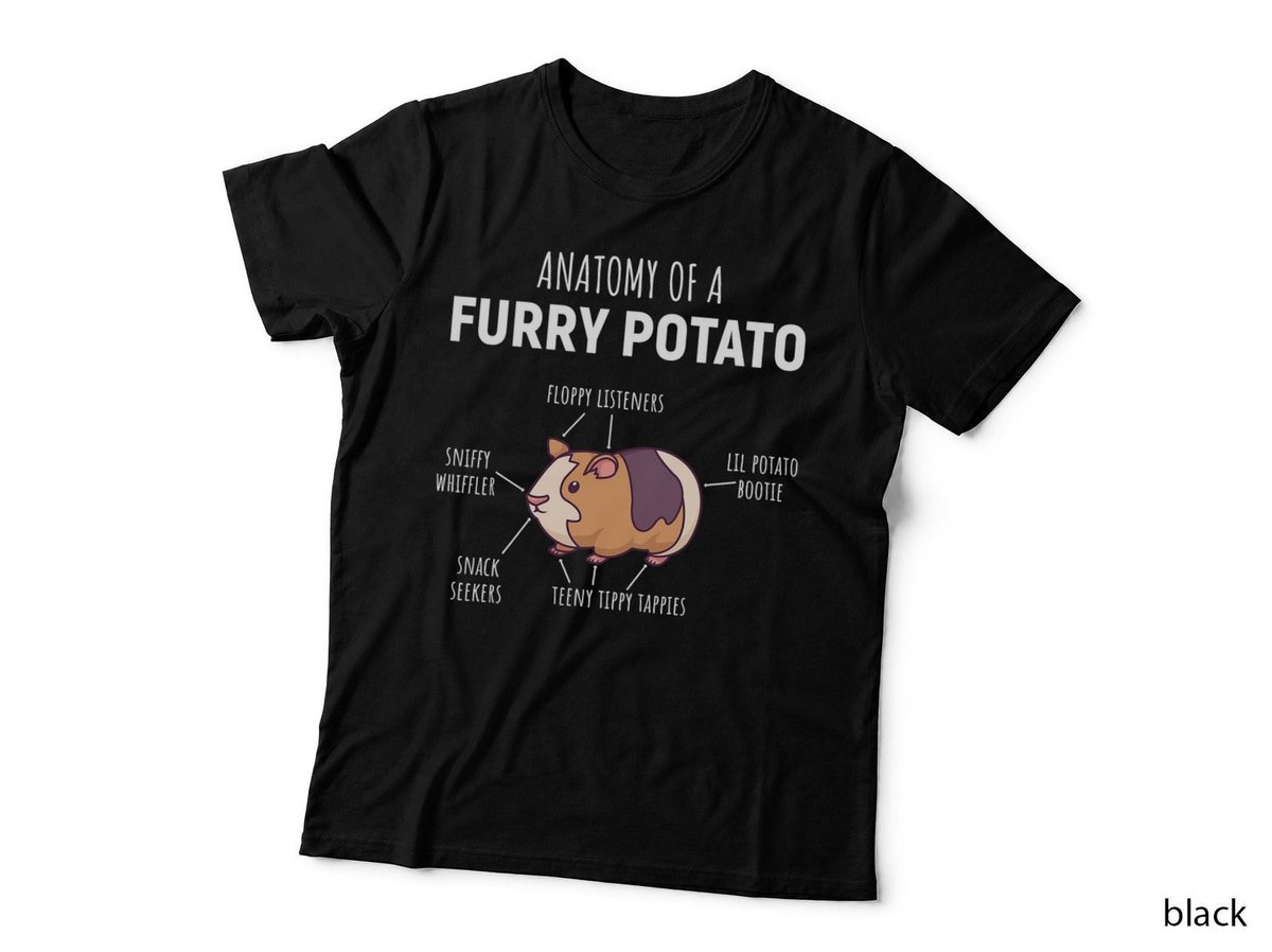 Anatomy Of A Furry Potato Guinea Pig Lover Gift T-Shirt