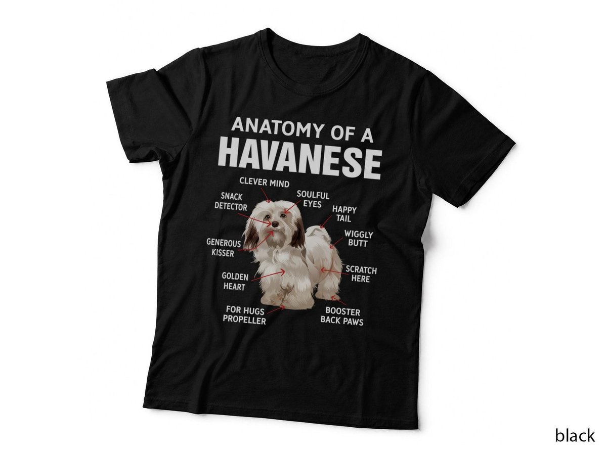 Funny Havanese Dog Breed Anatomy Of A Havanese Shirt, Hand Drawn, Gift T-Shirt