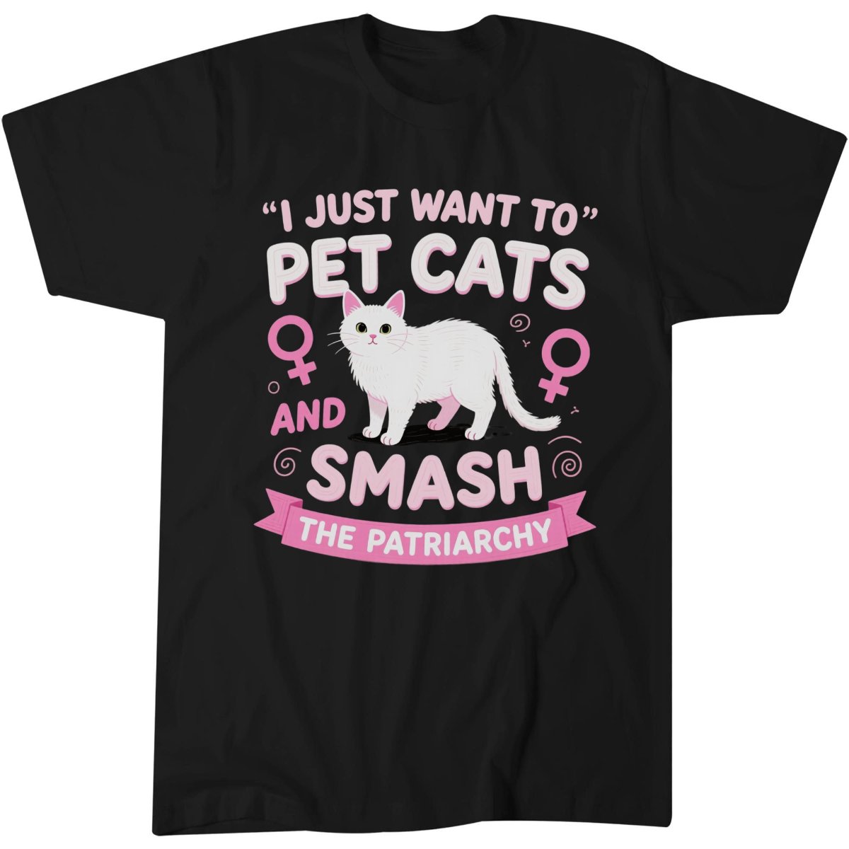 I Just Want To Shirt, Feminist Activist Birthday Gift Idea T-Shirt